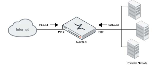 FortiDDoS VM08