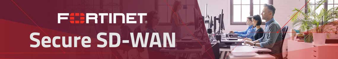 SD-Wan Banner